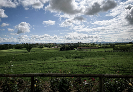 poderi sanguineto perlenwinzer landschaft