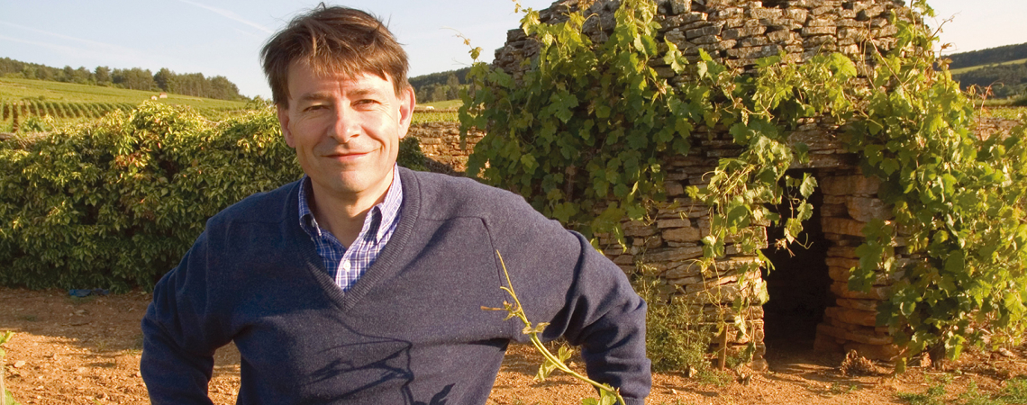 Mann im Weinberg, steinerne Hütte mit Weinreben im Hintergrund.