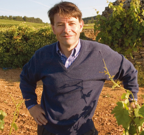 Mann im Weinberg, steinerne Hütte mit Weinreben im Hintergrund.