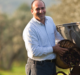 Mann mit Korb voller Oliven, steht neben einem Auto im Freien.