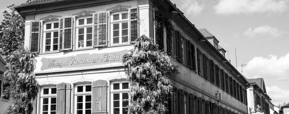 Schwarz-weiß Foto eines historischen Gebäudes mit Fensterläden und Kletterpflanzen.