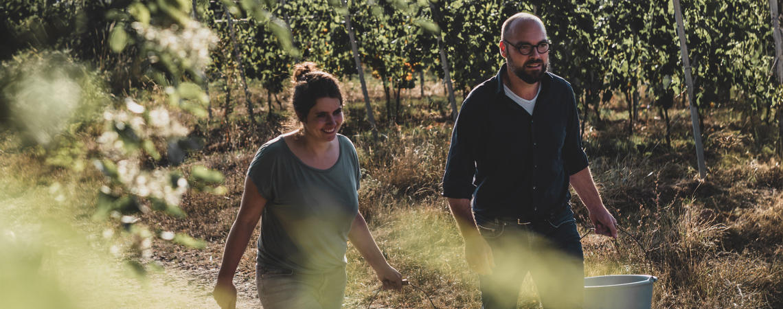 Zwei Personen gehen durch einen sonnigen Weinberg, lächelnd und mit Eimer.