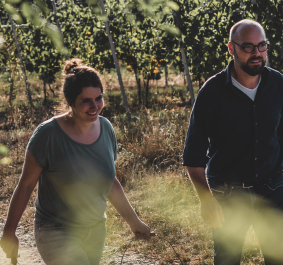 Zwei Personen gehen durch einen sonnigen Weinberg, lächelnd und mit Eimer.