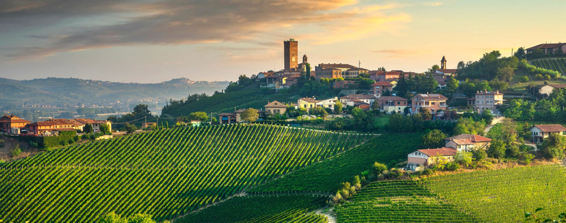 Grüne Weinberge in hügeliger Landschaft bei Sonnenuntergang, mit malerischem Dorf im Hintergrund.