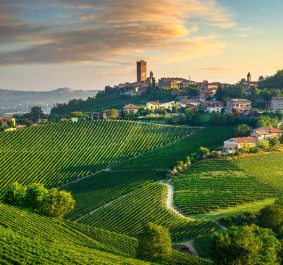 Grüne Weinberge in hügeliger Landschaft bei Sonnenuntergang, mit malerischem Dorf im Hintergrund.