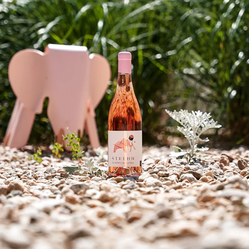 strehn rose elefant