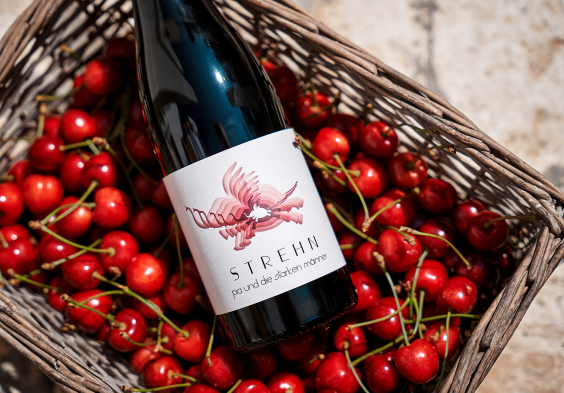 strehn rose pia und die starken maenner