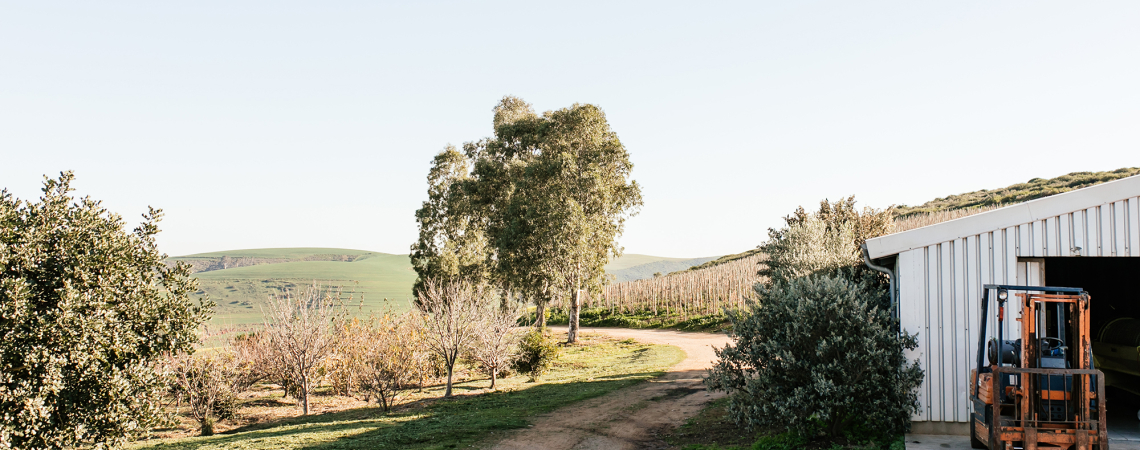 Landschaft mit Schotterweg, Bäumen und Scheune mit Gabelstapler im Vordergrund.