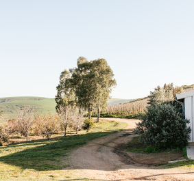 Landschaft mit Schotterweg, Bäumen und Scheune mit Gabelstapler im Vordergrund.
