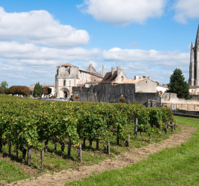 Grüne Weinberge vor historischer Kirche und blauer Himmel mit Wolken.
