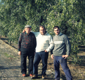 Drei Männer stehen auf einem Feldweg, umgeben von grünen Bäumen.