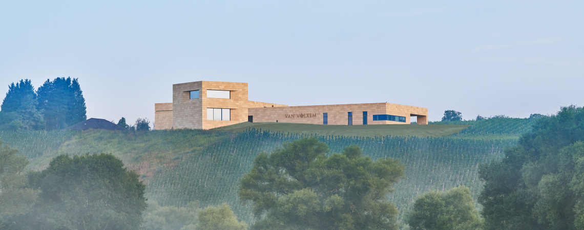 Moderne Architektur auf nebelverhangenem Hügel mit Weinbergen und Bäumen.