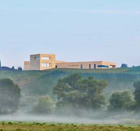 Moderne Architektur auf nebelverhangenem Hügel mit Weinbergen und Bäumen.