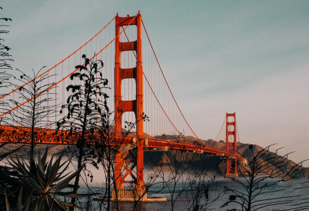 Rote Hängebrücke mit Pflanzen im Vordergrund und blauem Himmel im Hintergrund.