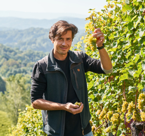 Mann im Weinberg, hält Trauben, sonnige Landschaft im Hintergrund.