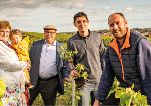 Drei Männer und eine Frau mit Kind im sonnigen Weinberg.