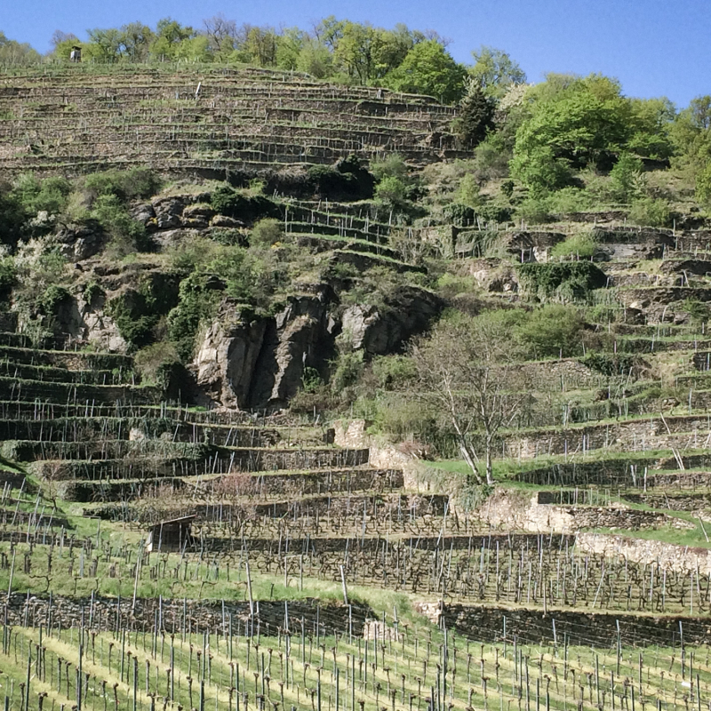 prager zwerithaler kammergut