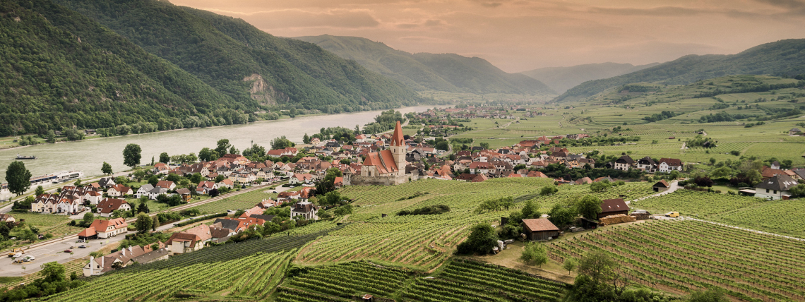 Luftaufnahme einer malerischen Stadt mit Kirche, eingebettet in grüne Weinberge und Tal.