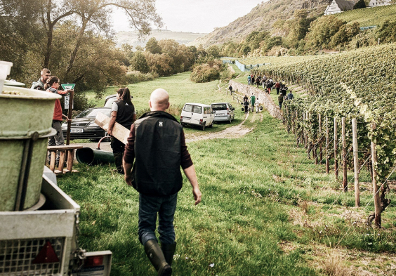 doennhoff weingut 10