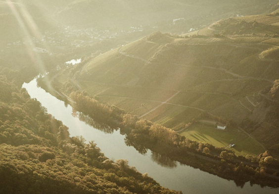 doennhoff weingut 14