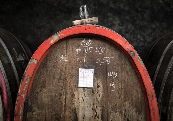 doennhoff weingut 15