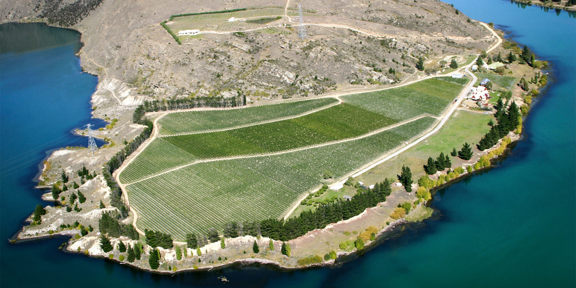 Luftaufnahme einer grünen Insel mit Weinbergen, umgeben von türkisfarbenem Wasser.