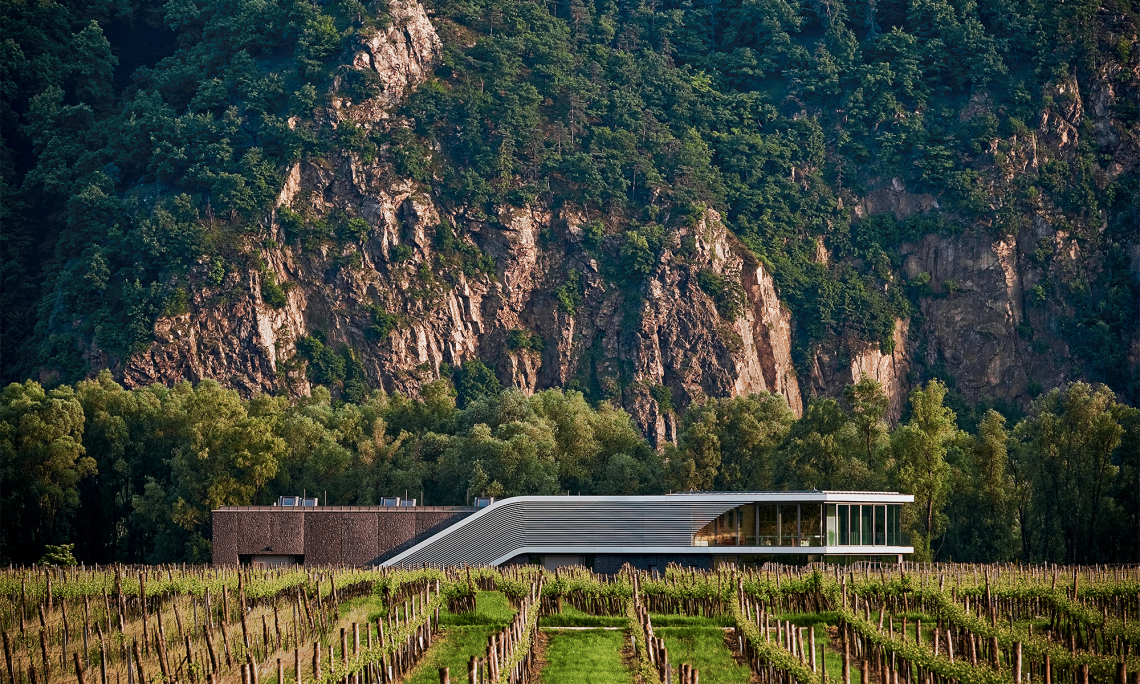 Modernes Gebäude in einem grünen Weinberg vor bewaldeten Felsen.