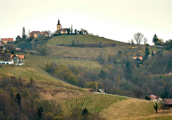 Wohlmuth 2022 Ausblick 2