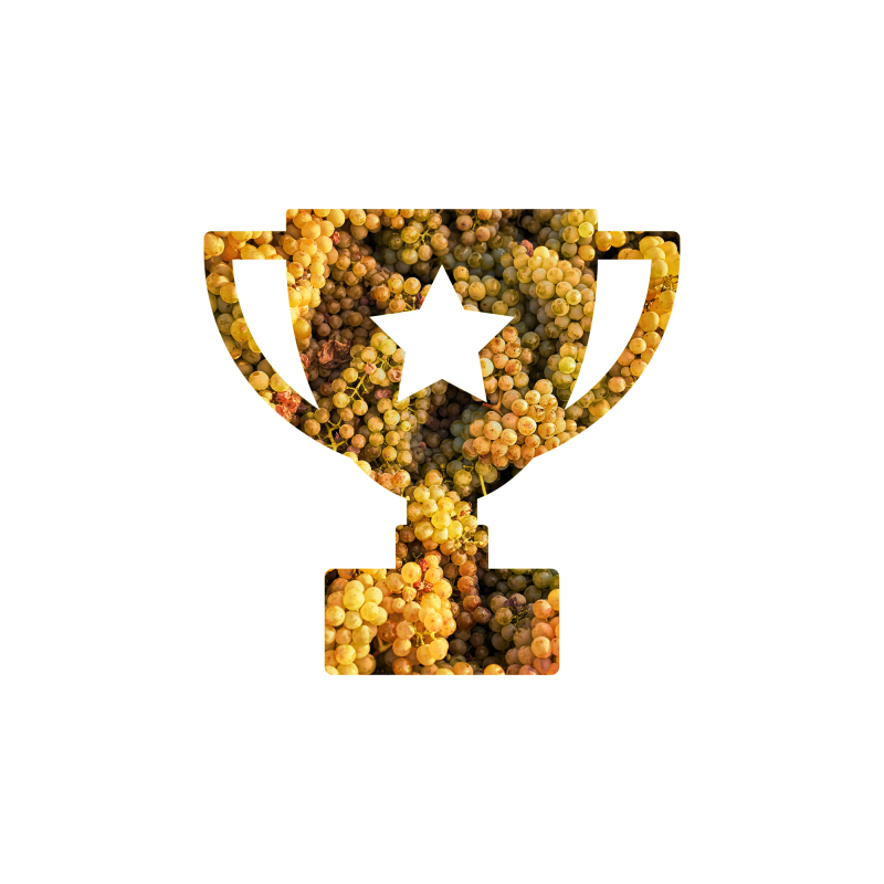 Toppraemiert 2000x2000