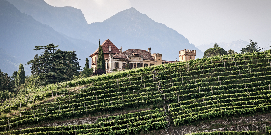 Weingut auf einem Berghang, umgeben von grünen Weinreben und bewaldeten Landschaften.