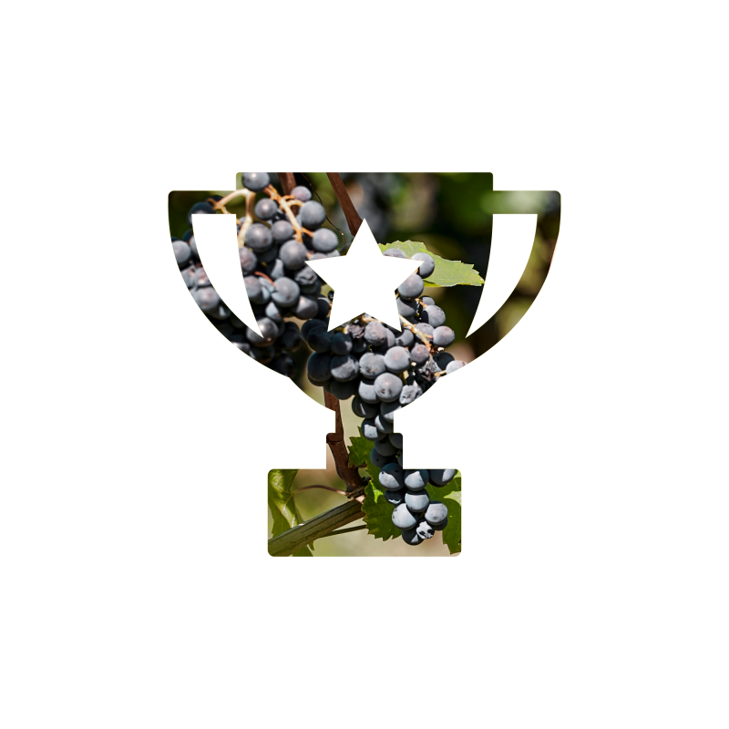 Spitzenweine 2000x2000