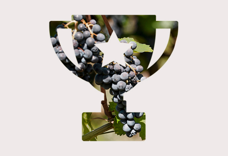 Trophäen-Silhouette gefüllt mit Bild von reifen Weintrauben.