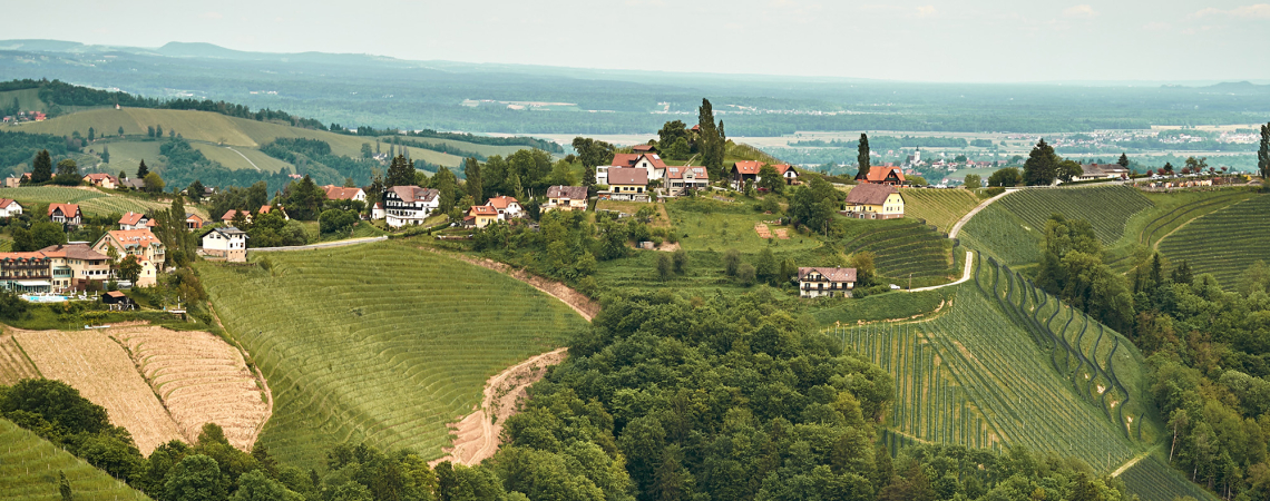 Hügelige Landschaft mit grünen Weinbergen und verstreuten kleinen Häusern im Vordergrund.