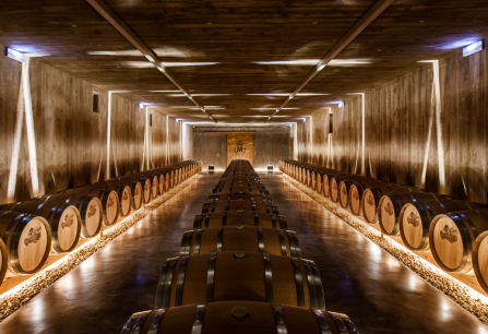 Eleganter Weinkeller mit Holzfässern, sanfte Beleuchtung und moderne Architektur.