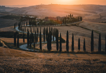 Zypressen gesäumter Weg durch hügelige Landschaft im Sonnenuntergang.