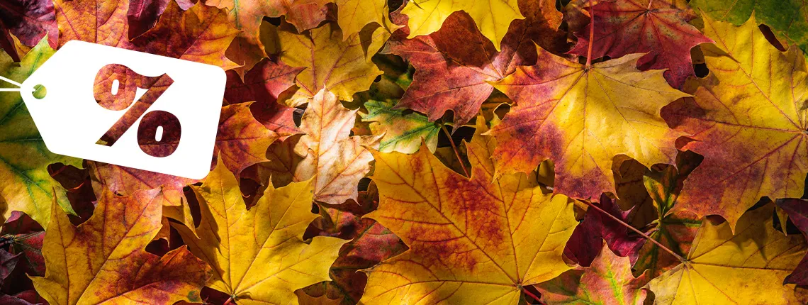 Bunte Herbstblätter mit einem weißen Rabatt-Schild im Vordergrund.