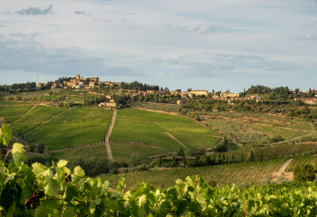 Sanfte, grüne Weinberge unter leicht bewölktem Himmel mit einem Dorf im Hintergrund.