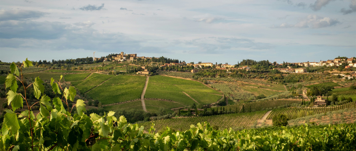 Sanfte, grüne Weinberge unter leicht bewölktem Himmel mit einem Dorf im Hintergrund.