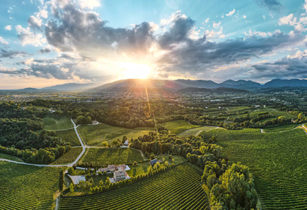 Landschaftspanorama mit Weinbergen, Straßen und einem dramatischen Sonnenuntergang am Horizont.