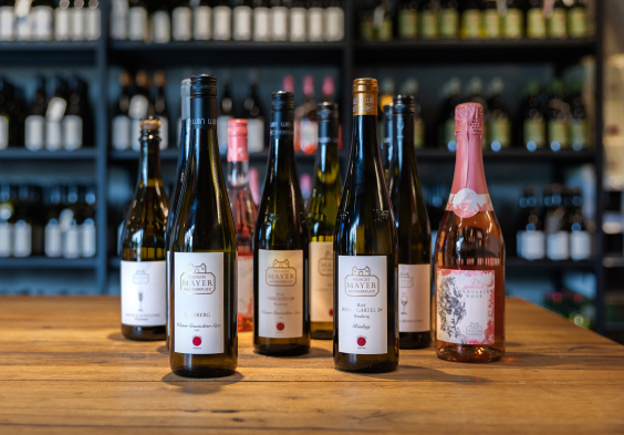 MaP interview bildjpg