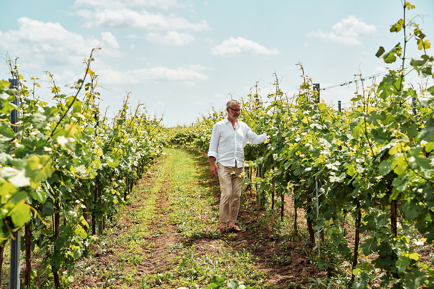 73 Prechtl 2024 Feichtinger