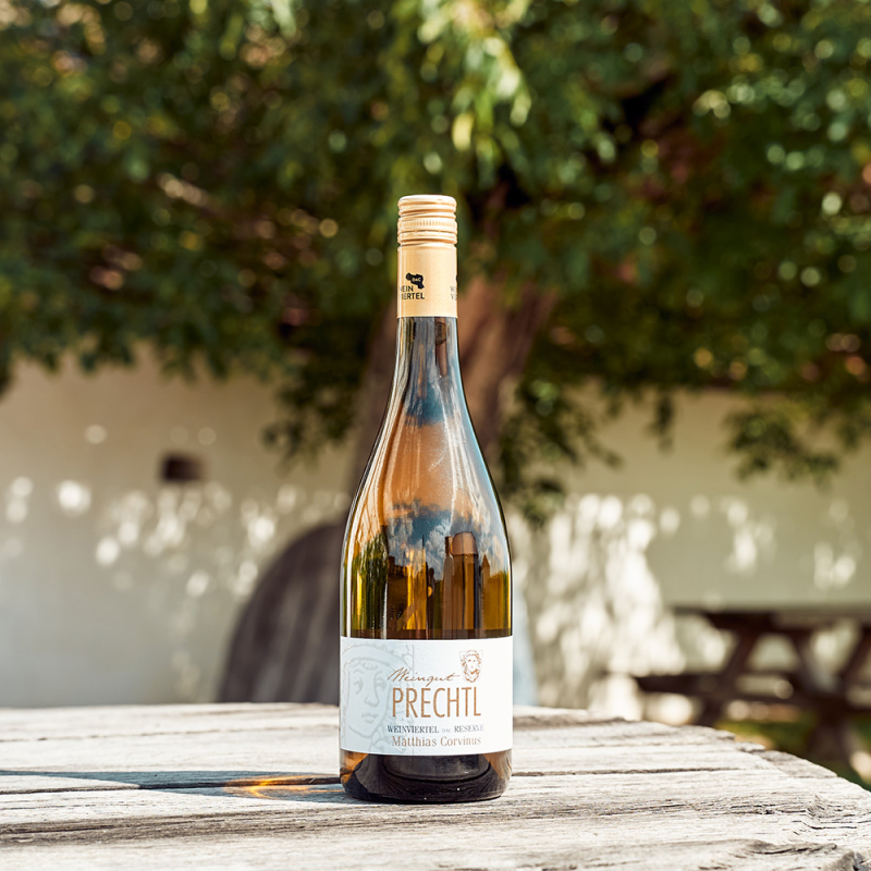 95 Prechtl 2024 Feichtinger