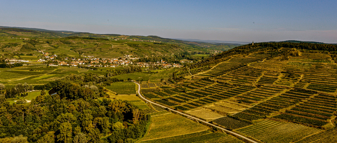 Weinberge und Felder in hügeliger Landschaft unter klarem Himmel.