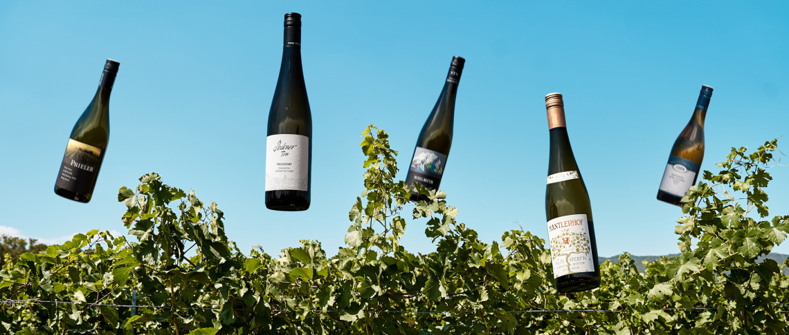 Weinflaschen schweben über einem sonnigen Weinberg vor klarem, blauem Himmel.